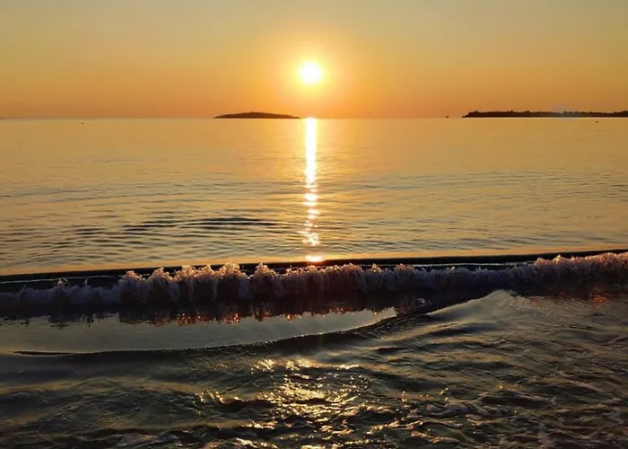 Dari Garden градина *