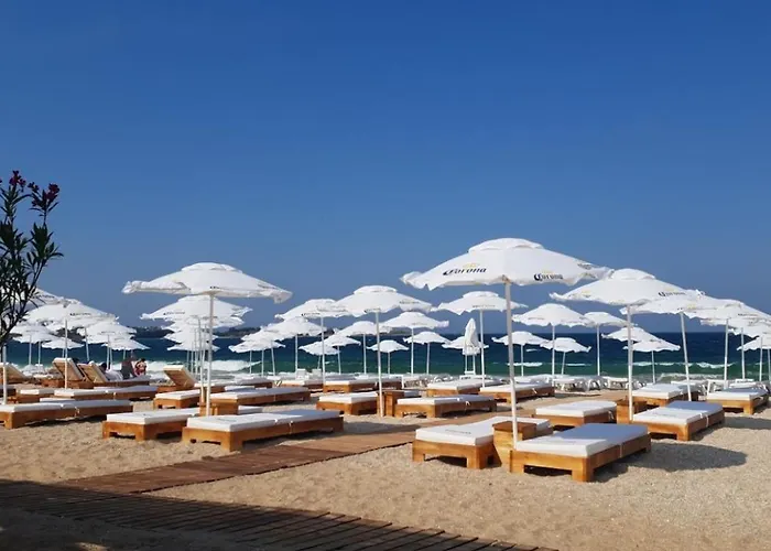 Dari Garden градина 切尔诺莫雷茨