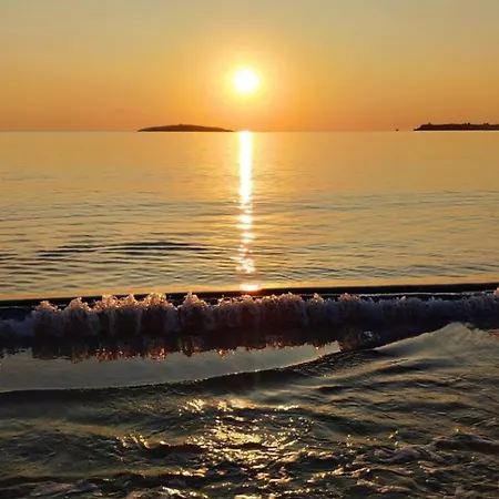 Dari Garden градина *